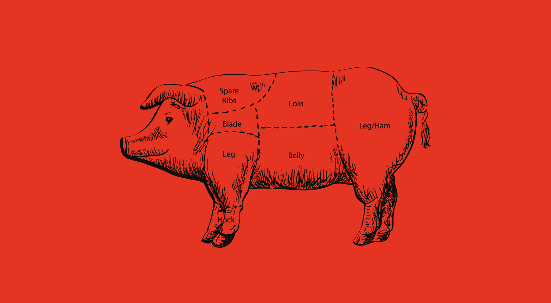 banner cerdo